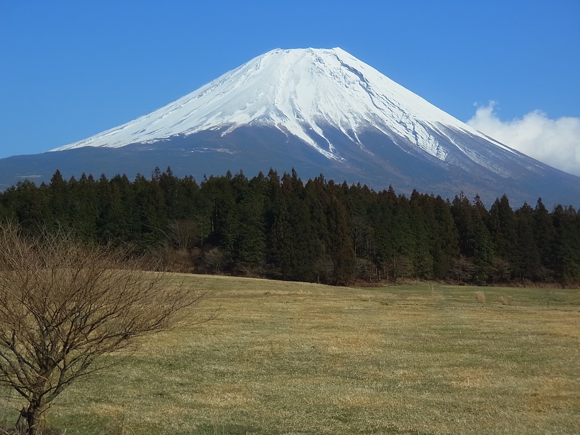 a0286351_01204031.jpg