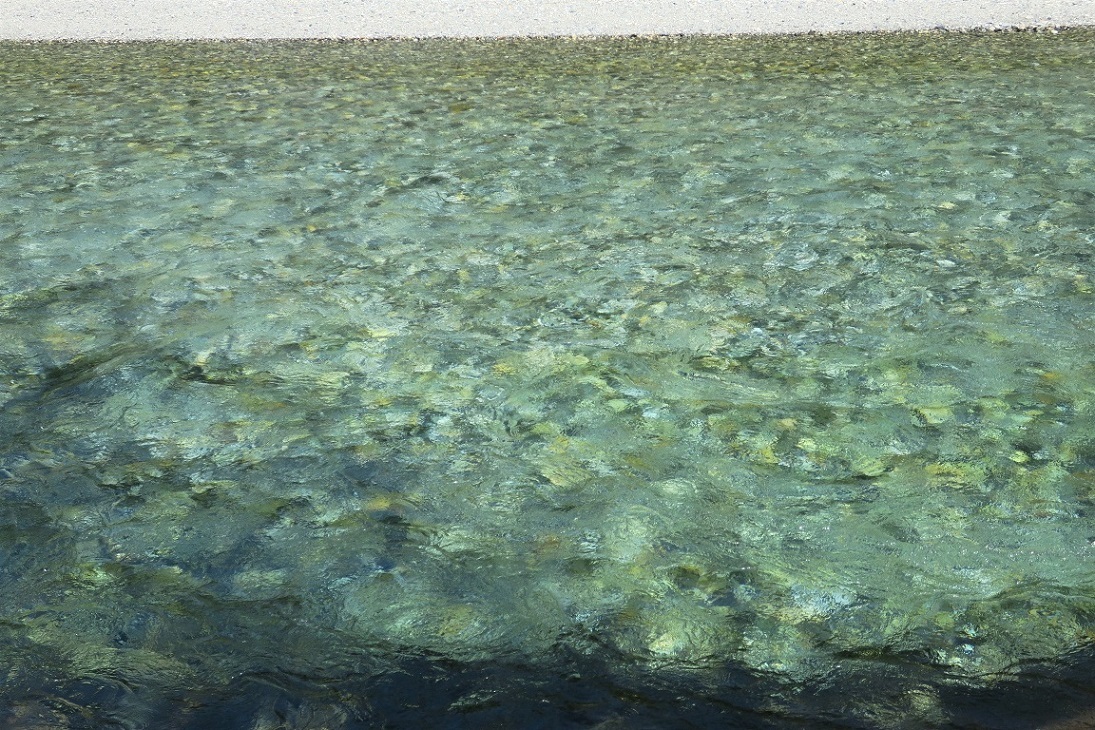 a0286351_01204199.jpg