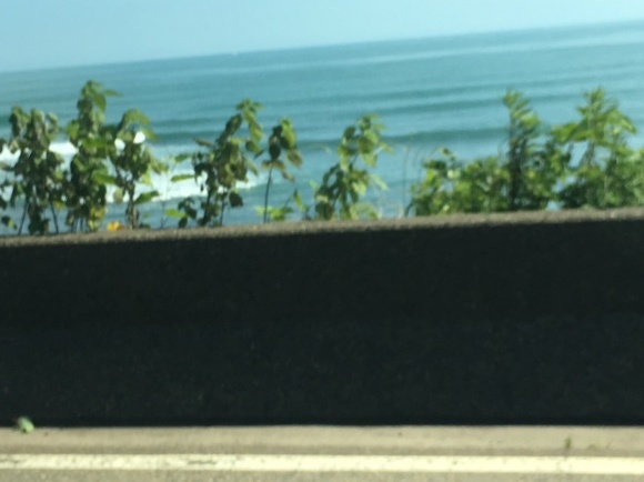 c0254151_16492050.jpeg