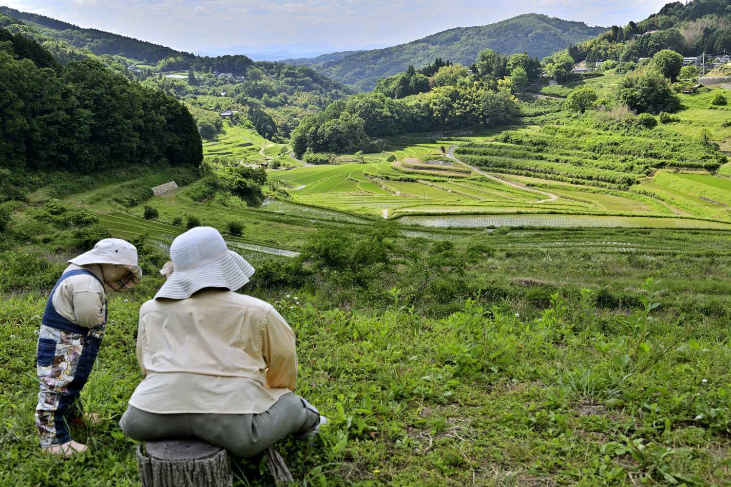 棚田 3　　　岡山県_d0286954_05045493.jpg