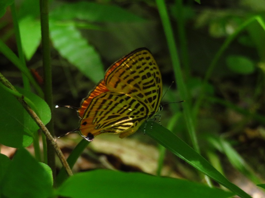 a0018655_08442003.jpg