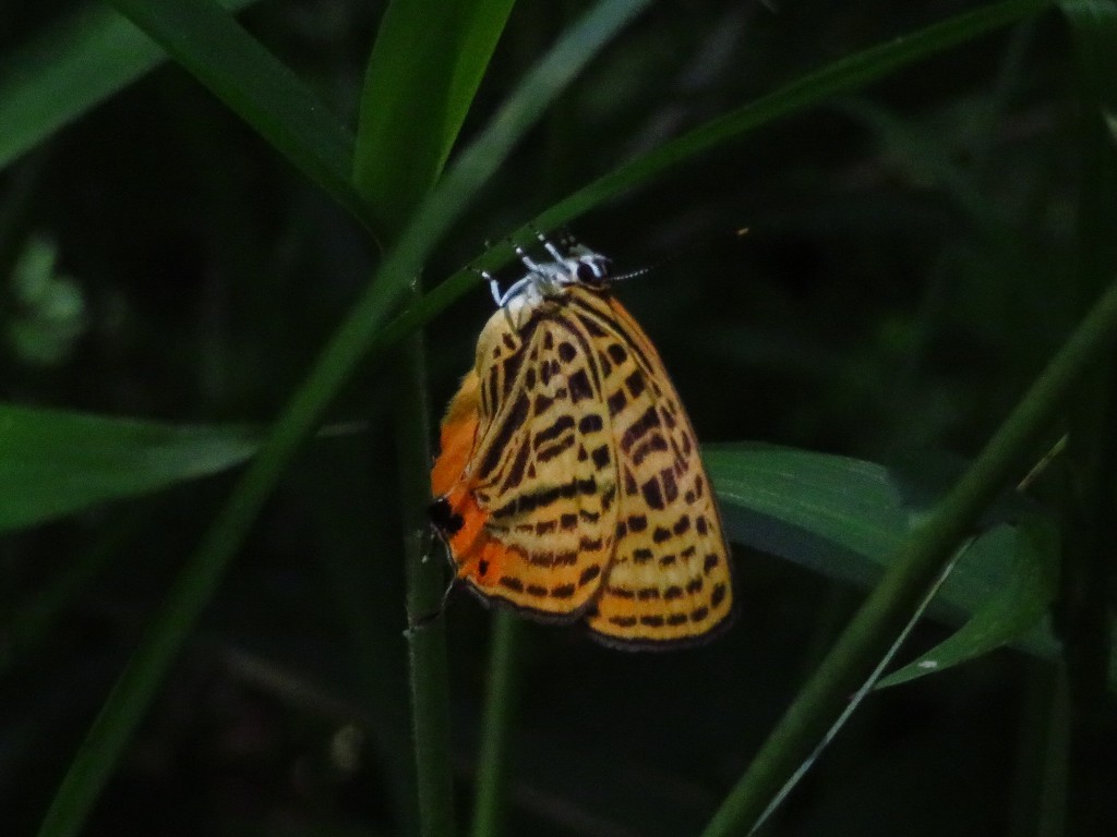 a0018655_08442044.jpg