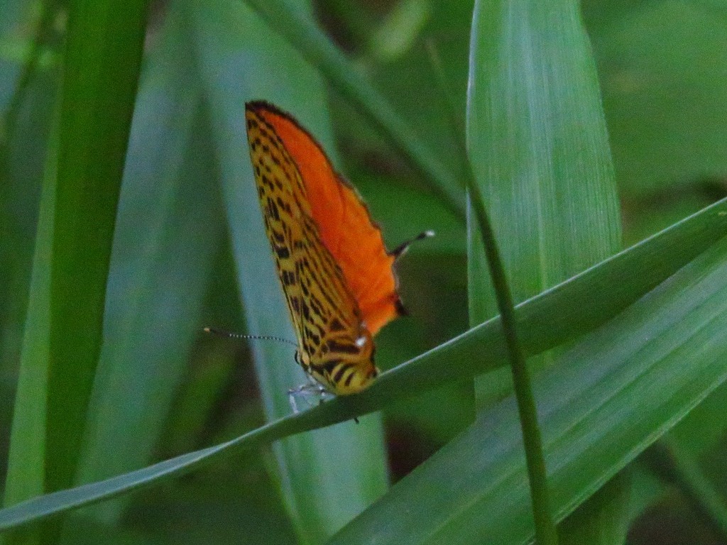 a0018655_08442051.jpg