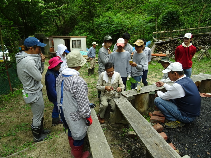 階段補修・草刈り・間伐等里山作業の継続・・・孝子の森_c0108460_18454496.jpg