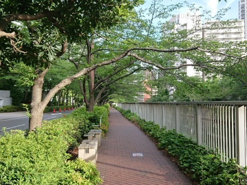 c0100865_05532879.jpg