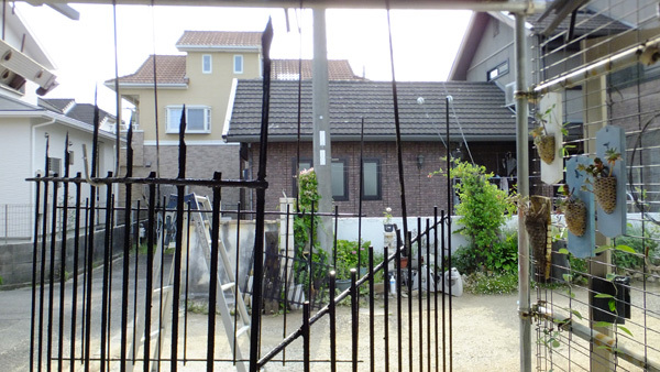 f0260167_08421042.jpg