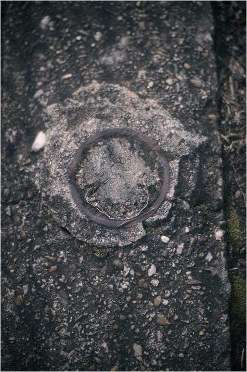 c0168172_23241470.jpg