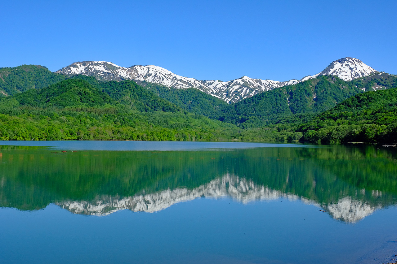乙見湖 焼山 火打山 笹ヶ峰高原 くろちゃんの写真 乙見湖 焼山 火打山 笹ヶ峰高原 くろちゃんの写真