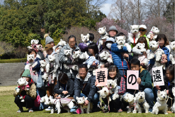 b0242873_23375372.png