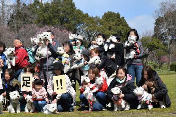 b0242873_23381029.png