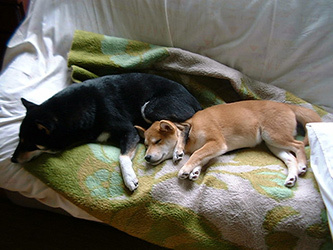b0057675_10203960.jpg