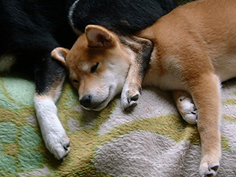 b0057675_10204815.jpg