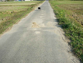 b0057675_10234416.jpg