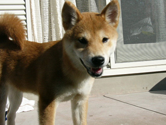 b0057675_10252912.jpg