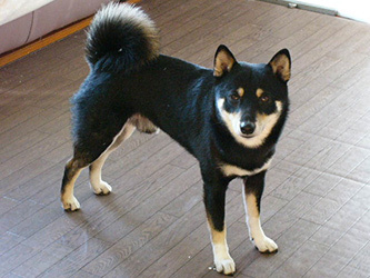 b0057675_10363503.jpg
