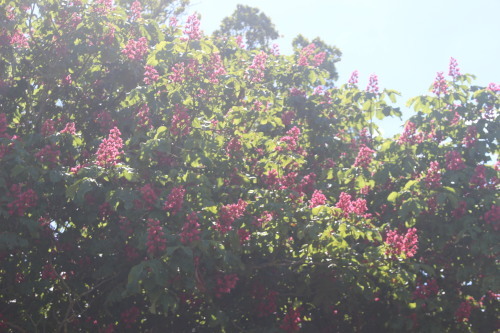 b0245877_20490791.jpg