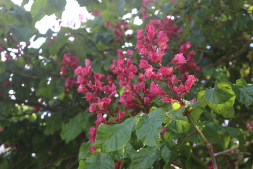 b0245877_20493614.jpg