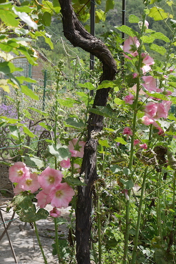 a0278382_20220516.jpg