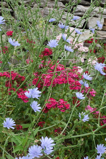 a0278382_20550861.jpg