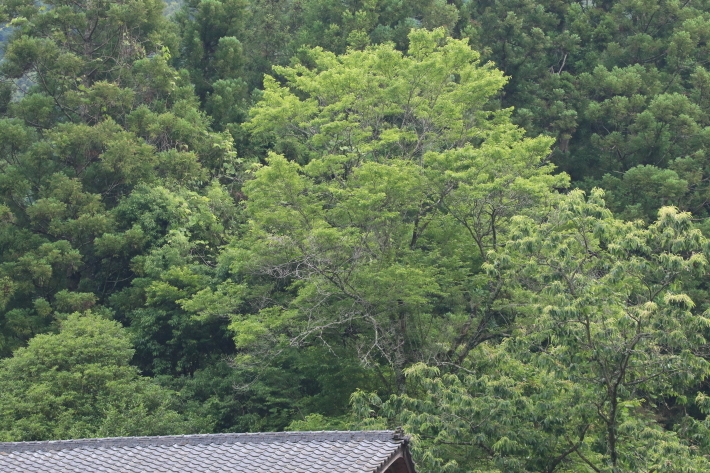 c0358784_22375618.jpg