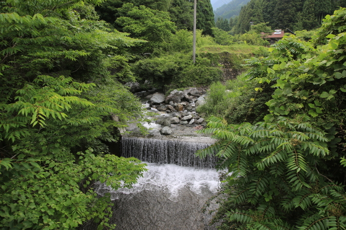 c0358784_22433757.jpg