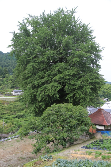 c0358784_22442189.jpg