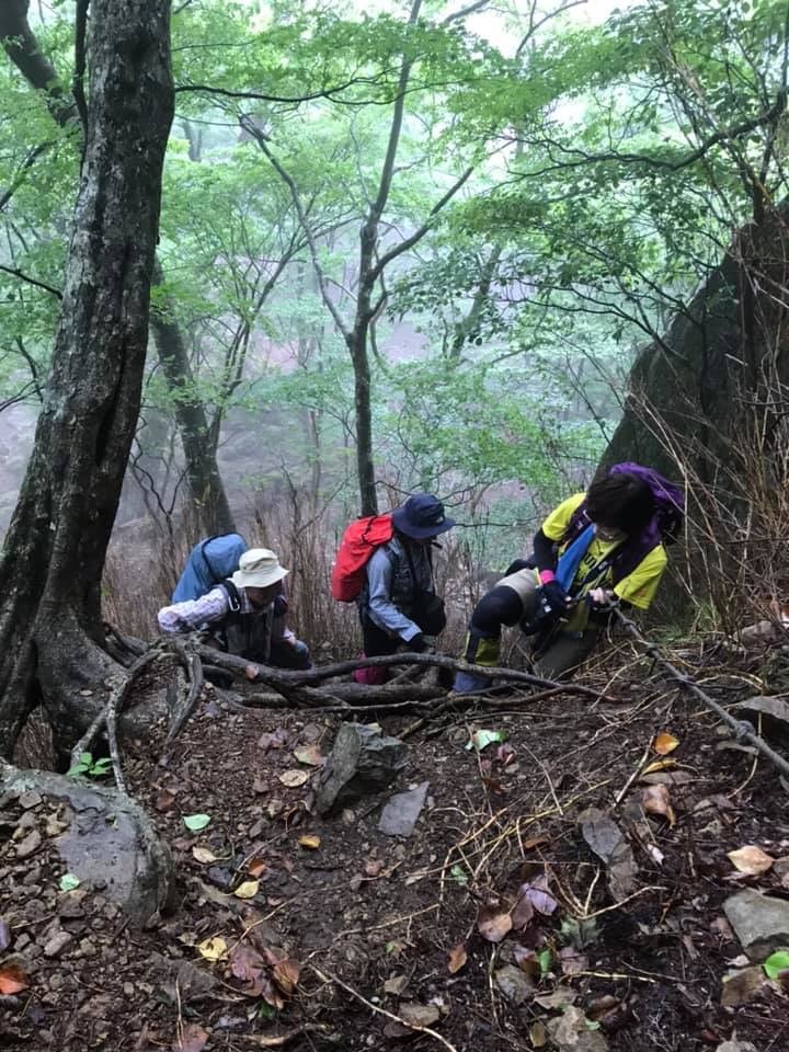 f0357487_23242832.jpeg
