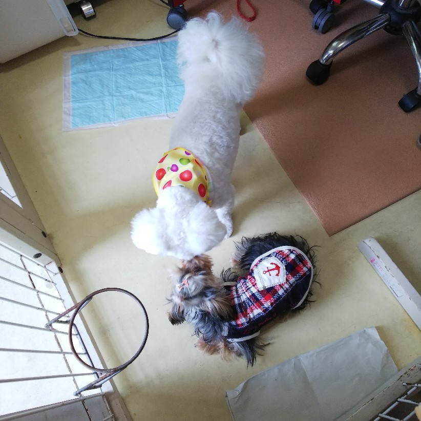 c0191390_21560669.jpg