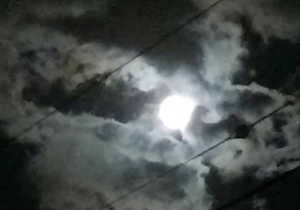 c0186691_10091448.jpg