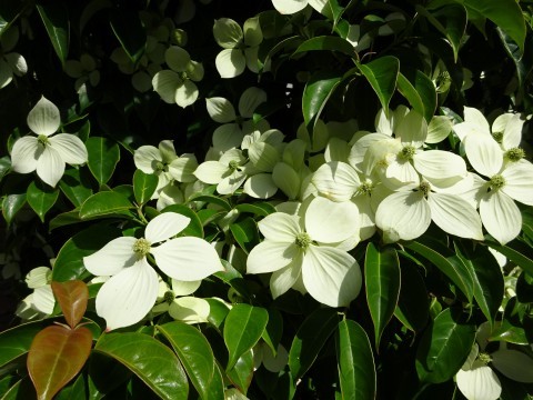 c0322794_23453818.jpg