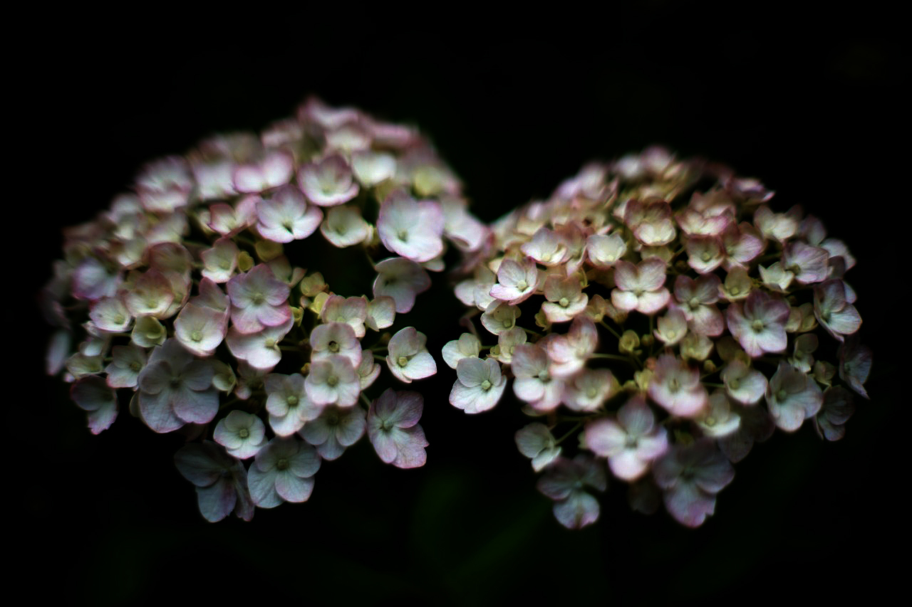 c0082800_22105813.jpg