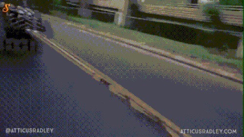 GIF 少し　９_c0072801_14413540.jpeg