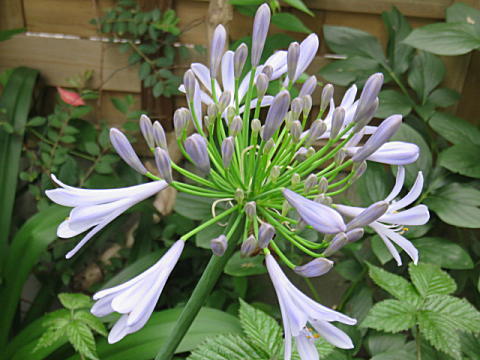 d0046702_05493246.jpg
