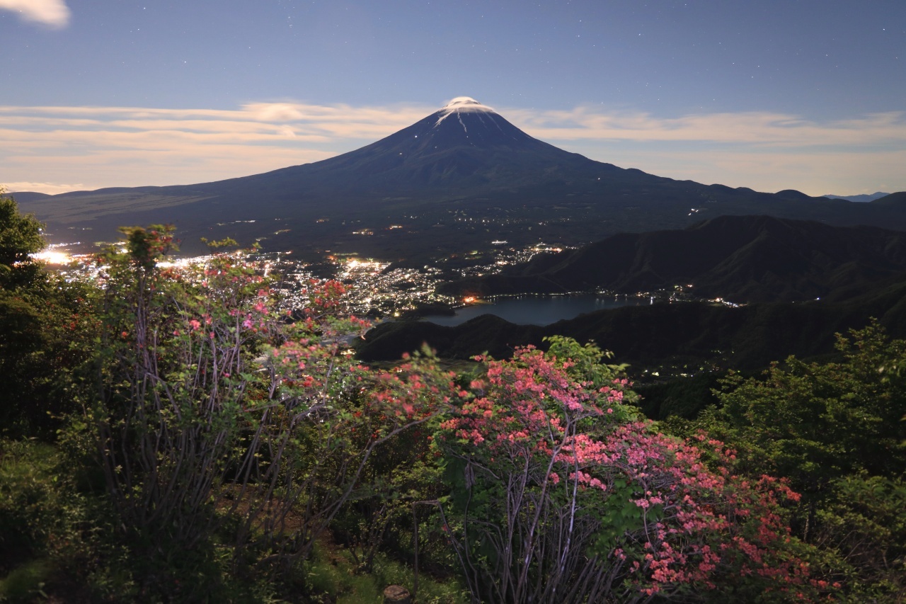 新道峠の山つつじ_a0188405_20382828.jpg