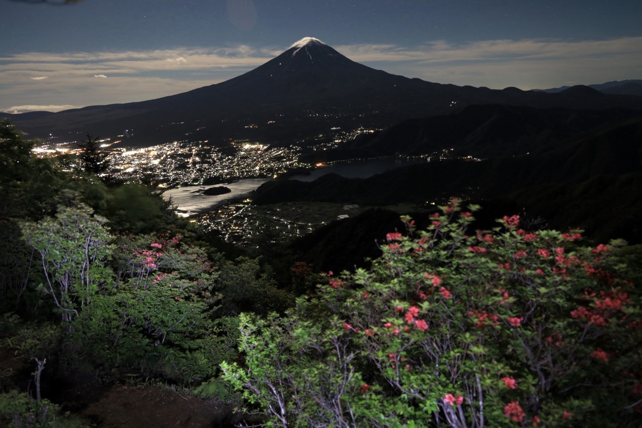 新道峠の山つつじ_a0188405_20383601.jpg
