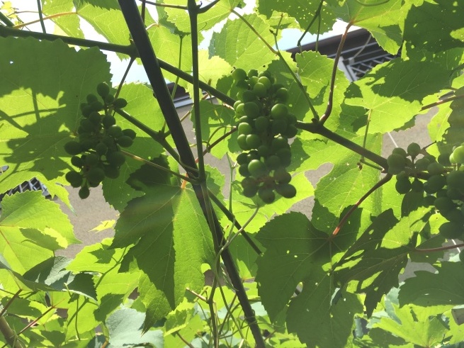 見える新しい形 NO.640_c0102513_02053664.jpeg