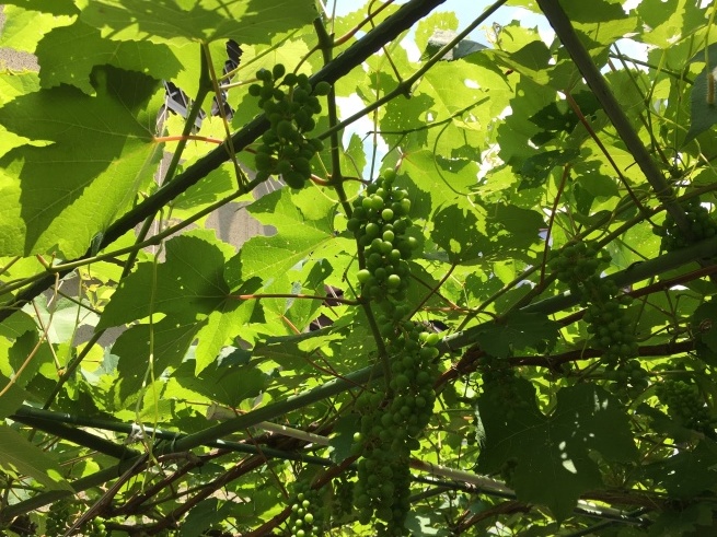 見える新しい形 NO.640_c0102513_02055040.jpeg