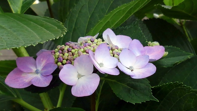 d0025414_23090722.jpg