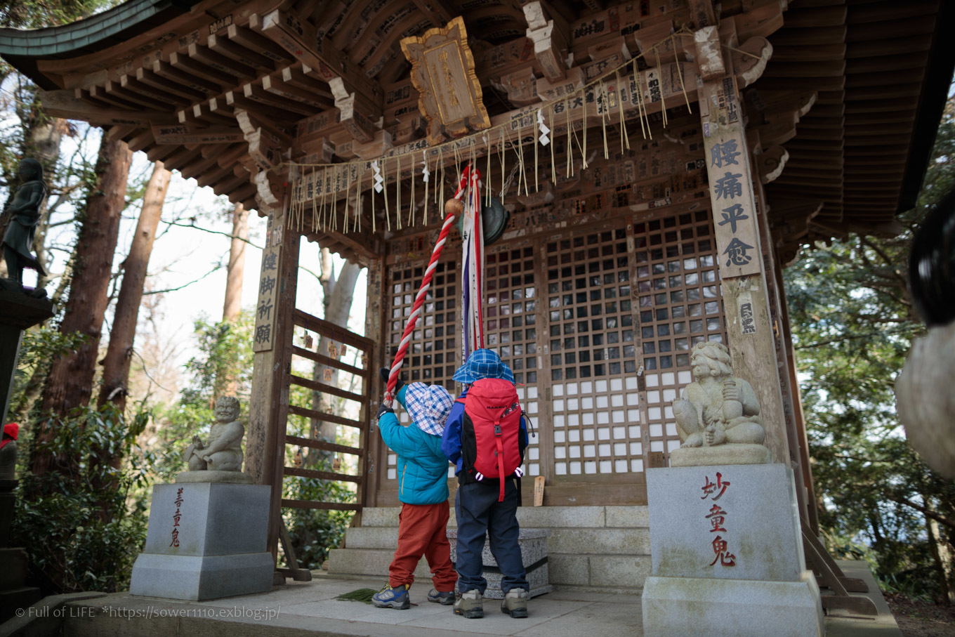 3歳5歳ちびっ子兄弟の春登山「高尾山」下山編_c0369219_00032786.jpg