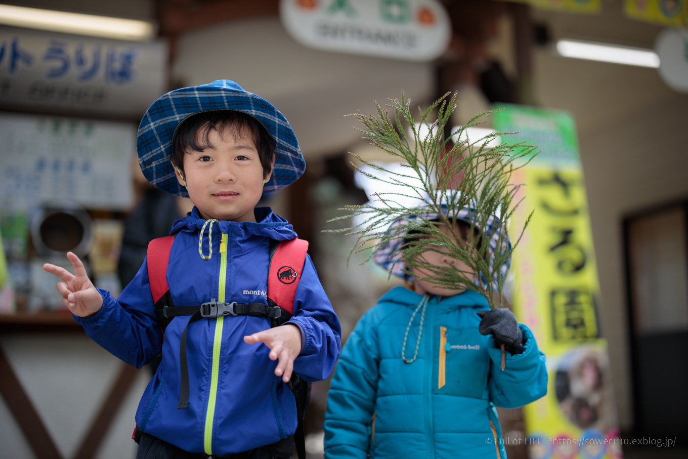 3歳5歳ちびっ子兄弟の春登山「高尾山」下山編_c0369219_00222941.jpg