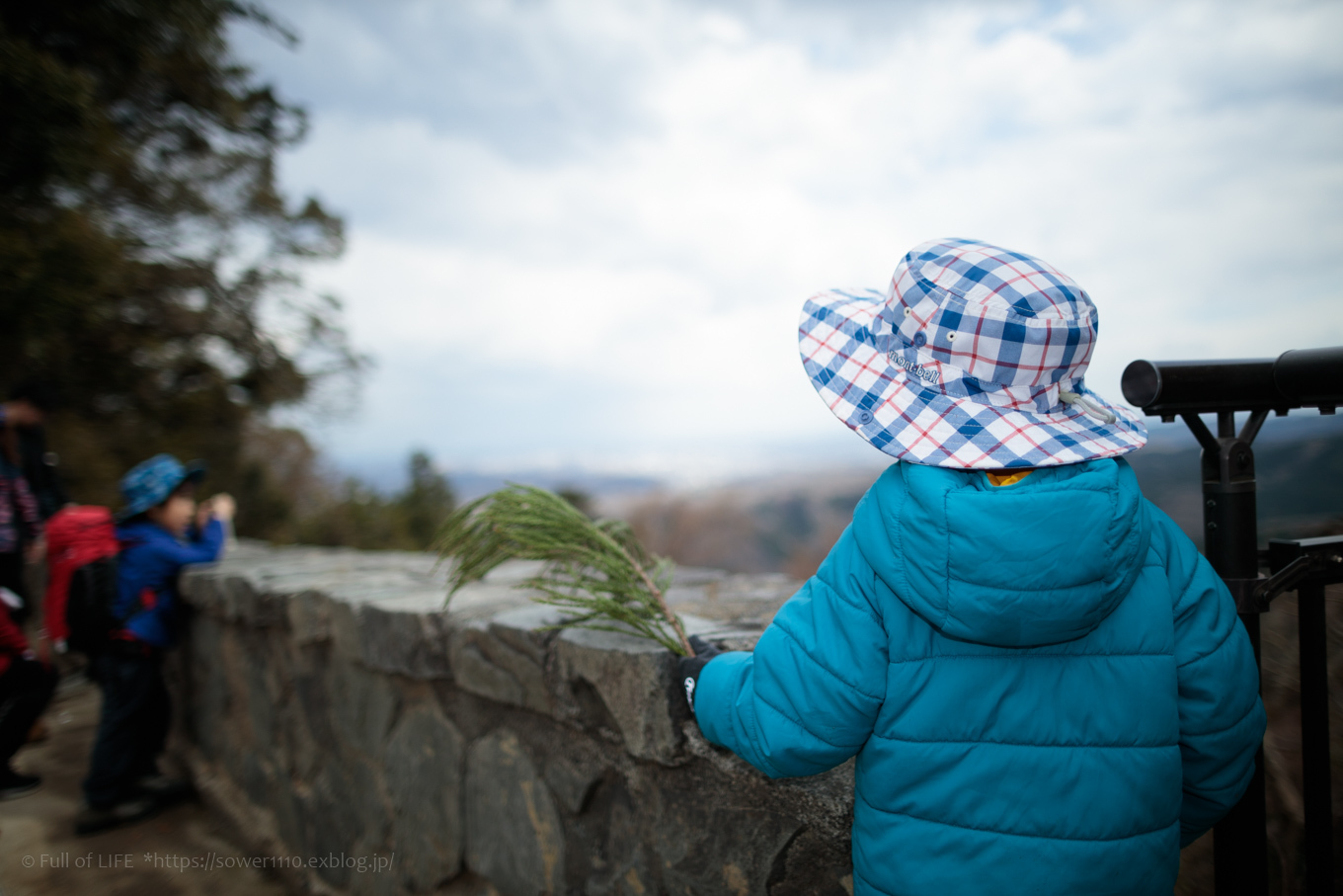 3歳5歳ちびっ子兄弟の春登山「高尾山」下山編_c0369219_00304324.jpg