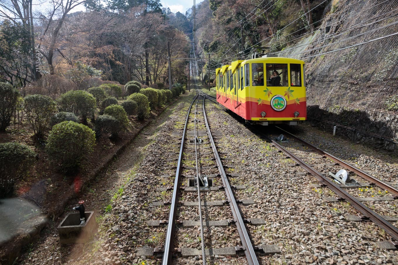 3歳5歳ちびっ子兄弟の春登山「高尾山」下山編_c0369219_00420885.jpg