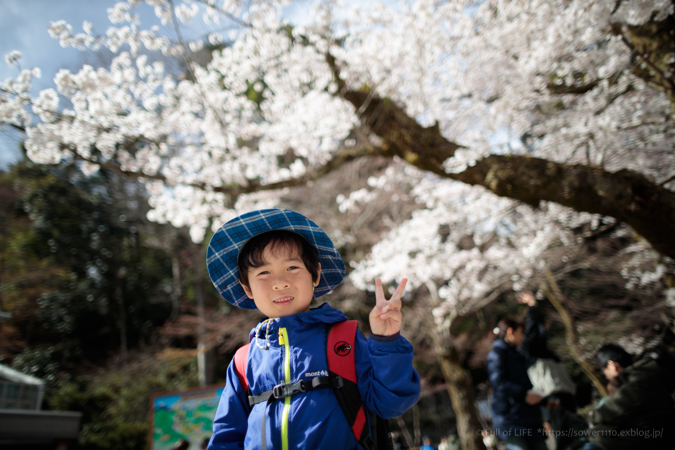 3歳5歳ちびっ子兄弟の春登山「高尾山」下山編_c0369219_00533834.jpg