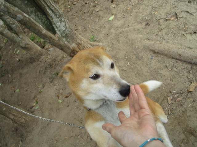 f0078320_16184431.jpg