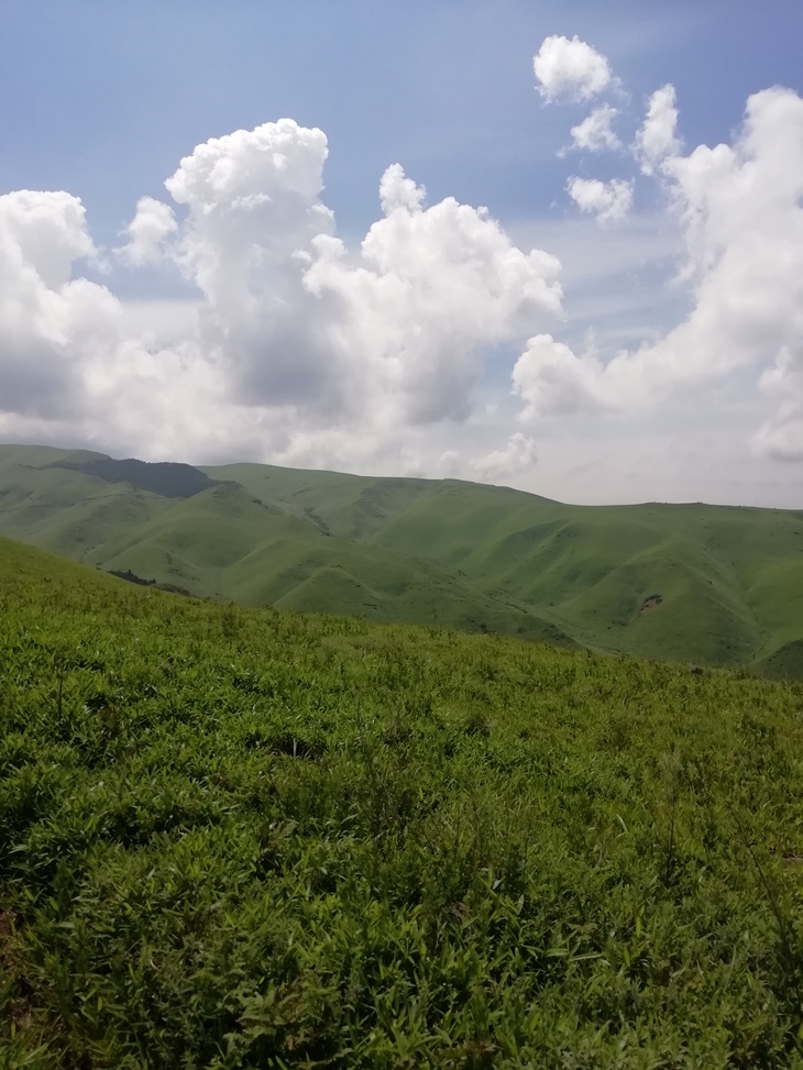 f0193521_4191999.jpg