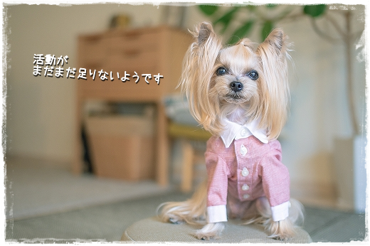 d0179828_00443392.png
