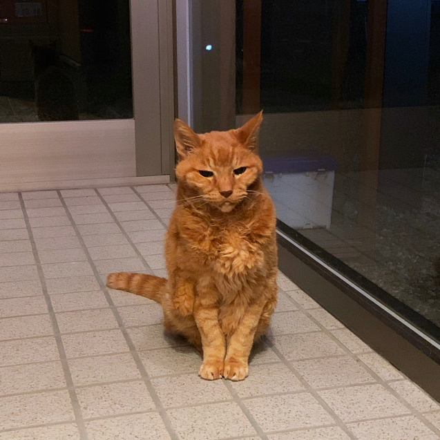 もう一度。_d0355333_20254039.jpg