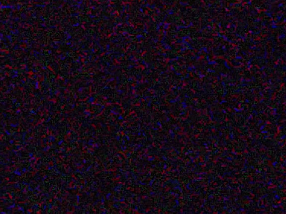 c0319737_00255916.jpg