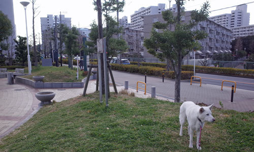a0117039_23204254.jpg