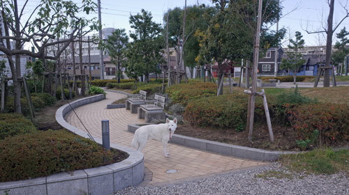a0117039_23205093.jpg